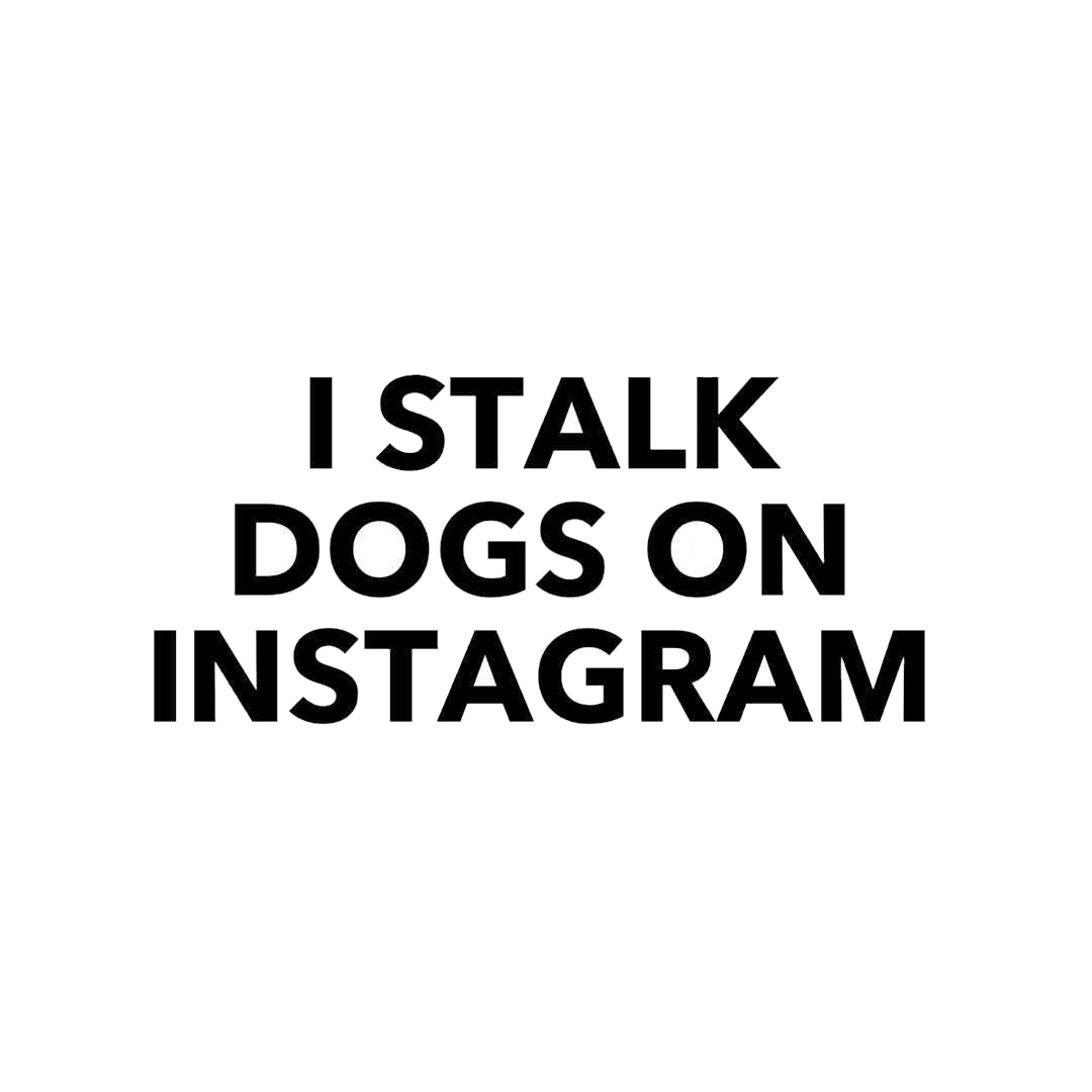 I Stalk Dogs On Instagram sticker